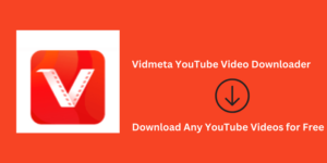 Vidmeta YouTube Video Downloader, Vidmeta Youtube Downloader